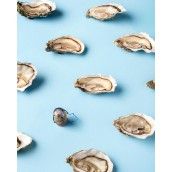 POMMERY CHAMPAGNE BRUT ROYAL 75cl. POMMERY CHAMPAGNE BRUT ROYAL 75cl.