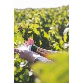 POMMERY CHAMPAGNE BRUT ROYAL 75cl. POMMERY CHAMPAGNE BRUT ROYAL 75cl.