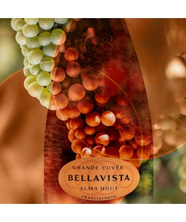 BELLAVISTA Franciacorta DOCG ALMA CUVÉE BRUT MATHUSALEM wooden box 6lt.