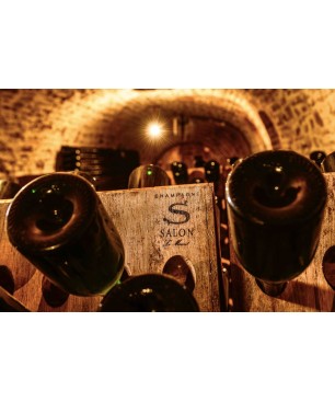 SALON Champagne Brut Blanc de Blancs Cuvée S Le Mesnil 1988 75cl.