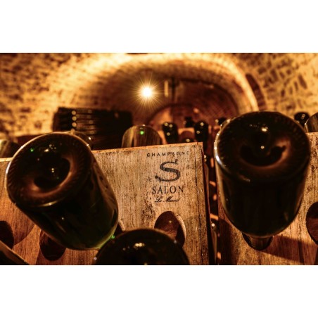 SALON Champagne Brut Blanc de Blancs Cuvée S Le Mesnil 1988 75cl.